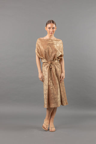 Ikshana Paisley Dress